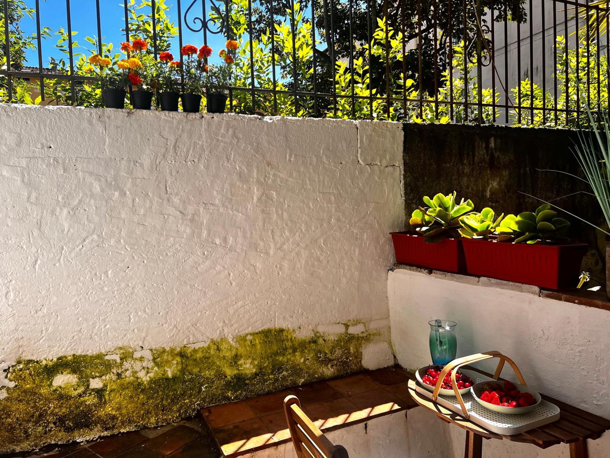 Casa In Pelleria Apartment Lucca Exterior photo